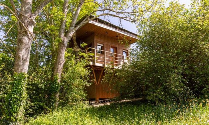 Vert Maison | Cabane perchee