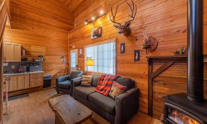 Christopher Creek Chalet De Ski | Cabin #1 Buffalo Herd -Pet Friendly - Sleeps 6 - Playground & Game Room