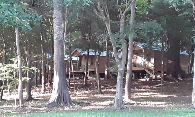 Fort White Cabine | Cabin 2 Bowman's Landing on Santa Fe River