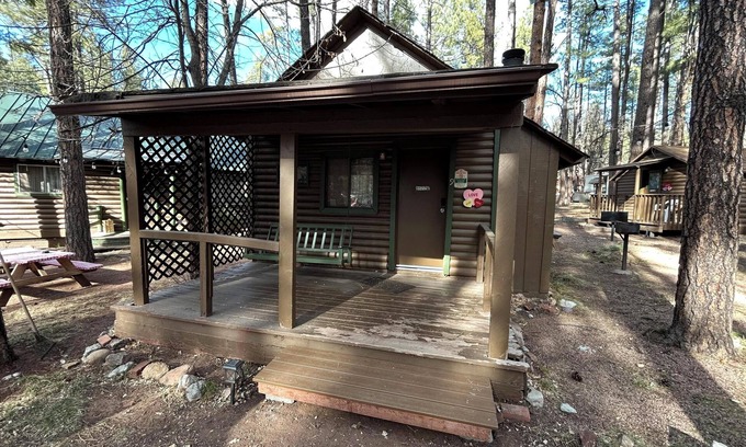 Christopher Creek Cabine | Cabin #9 - Studio with fireplace