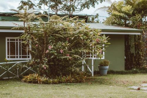 Turrialba Appartement | Cabin at Los Titos Coffee Farm