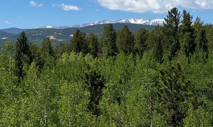 Black Hawk Cabine | Cabin at Pickle Gulch- a charming cabin with mountain views.