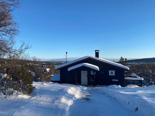Vestre Slidre Maison | Cabin in the Mountain, Outstanding View & Solar Energy