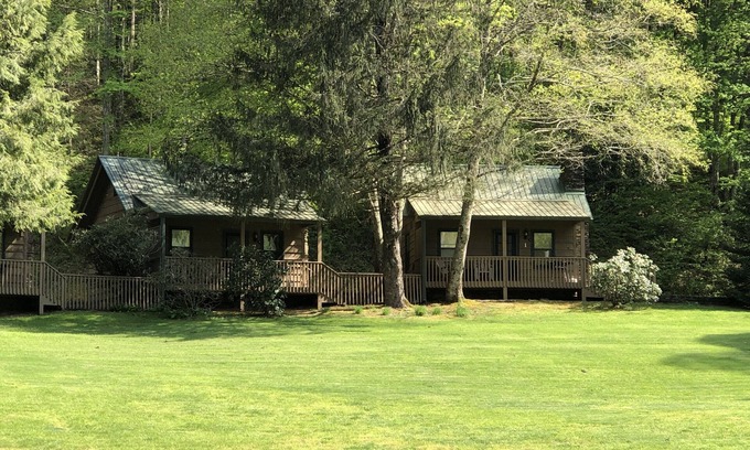 Rabun Gap Cabine | Cabin on a hillside overlooking beautiful Valley Springs Lake pet friendly (dog)