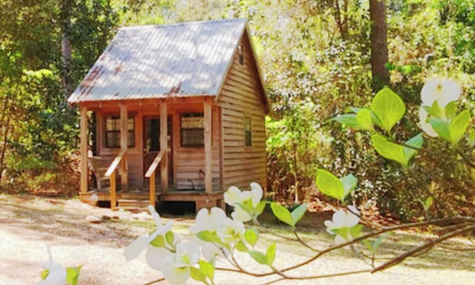 Gardner Cabine | Cabin retreat on 11 wooded acres W of Alexandria; AC WiFi smart TV; 28 night min