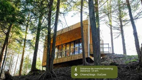 Eastman Maison | Cabin Zoobox 84