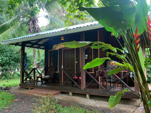 Playa Tortuga Maison | Cabinas Coco Lindo