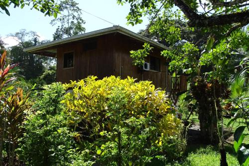 Cahuita Cabine | Cabinas Los Tucanes
