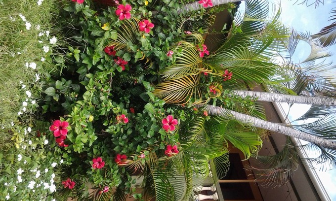 Puntarenas Hôtel | Cabinas Madeleine