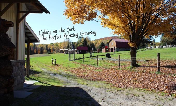 Hastings Highlands Cabine | Cabins on the York - Loon Cabin #1