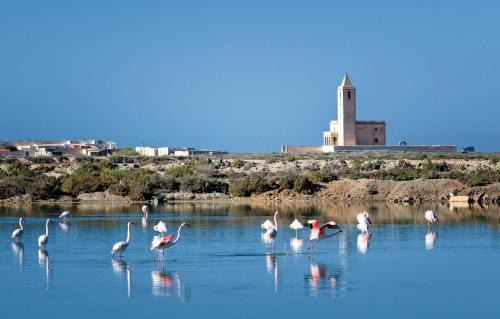 Cabo de Gata Maison | CABO BEACH paradise