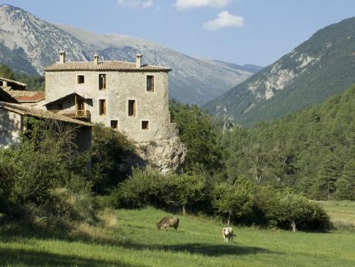 La Vansa I Fornols Maison | Cal Pallerola