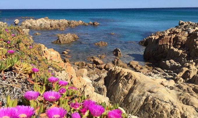 Sas Linnas Siccas Maison | Cala Liberotto: Maison mitoyenne avec jardin - Cala Liberotto (Orosei) -App. 6