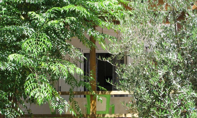 Kakovatos Maison | Calme, au milieu d'une oliveraie, près de la plage, wifi | Maison de vacances Ili