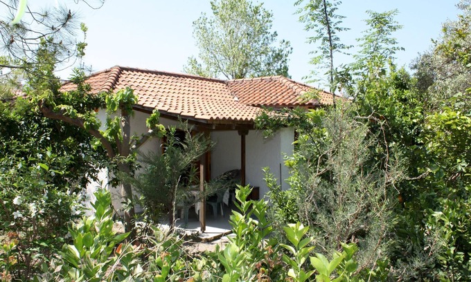 Kakovatos Maison | Calme, au milieu d'une oliveraie, près de la plage, wifi | Maison de vacances Ili