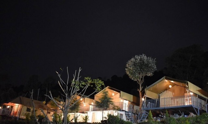 Bir Maison | Camp Cedar