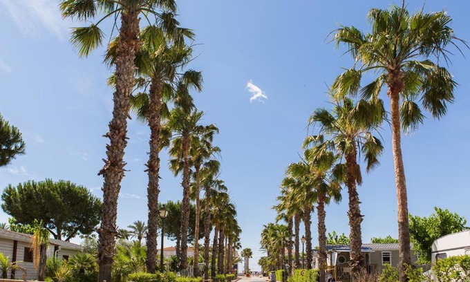 El Vendrell Autre | Camping Estival Vendrell Platja