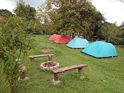 Cijeruk Autre | Camping Ground Kebun Teduh Cijeruk