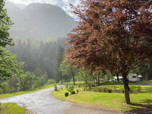 Le Petit-Bornand-les-Glieres Autre | Camping les Marronniers