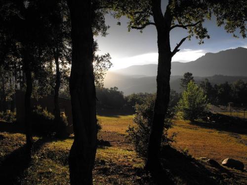 Macanet de Cabrenys Autre | Camping Maçanet de Cabrenys