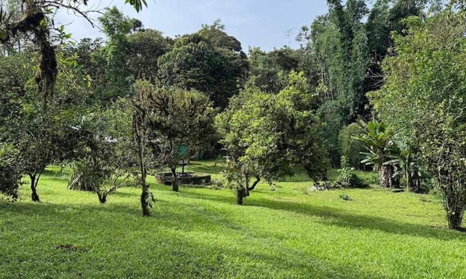 Mindo Autre | Camping para experiencias únicas