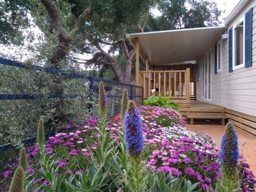 Calella Autre | Camping Roca Grossa