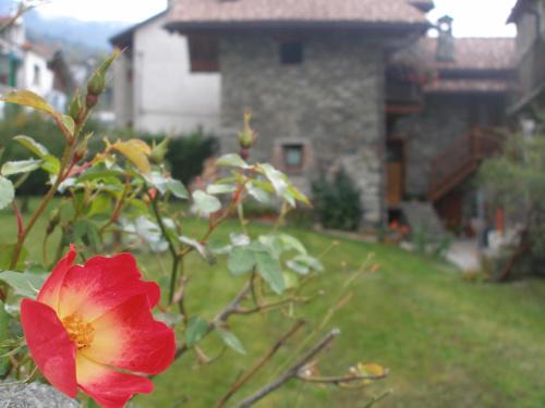 Saint-Vincent Maison | Canton d'Antan