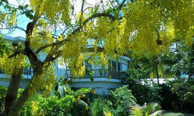 Bain Boeuf Appartement | Cap Heureux Villas