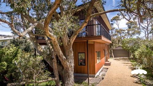 Walkerville Maison | Carbool Goondie