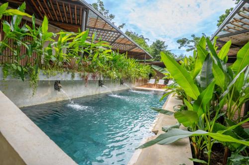 Chiguata Maison | Caribbean Courtyard Lujosa Villa 6 to 10 pp