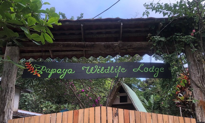 Cahuita Maison | Caribbean Experience