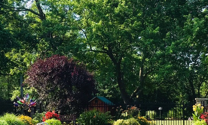 Crittenden Maison | Carols Country Inn Buffalo, État de New York