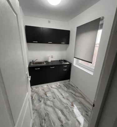 Drobeta-Turnu Severin Appartement | Casa Adam Severin