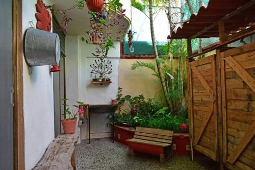 Palmar de Aramara Maison | Casa Aramara