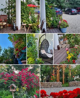 Sinpetru Appartement | CASA ARYAN