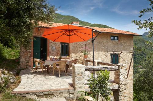 Greppolungo Maison | Casa Berti - Urlaub im Olivenhain