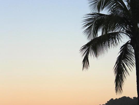 Itacare Maison | Casa Blanka 2010 - Eco Surf Guest House