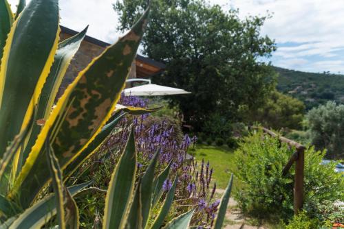 Capaccio Scalo Maison | Casa brillocco Castellabate