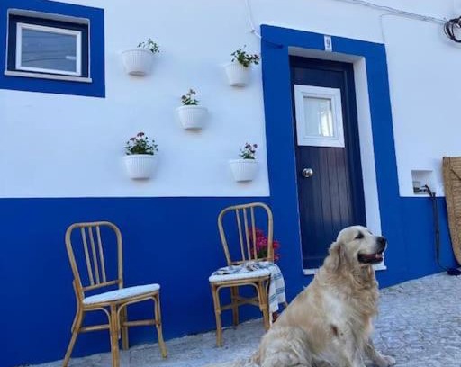 Alcacer do Sal Maison | Casa Buganvilla