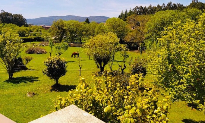 A Caniza Villa | 59. Villa Cañiza (319), large Finca with a natural pool