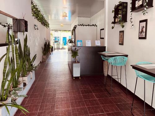 Yopal Maison | Casa Cabieles Hostal
