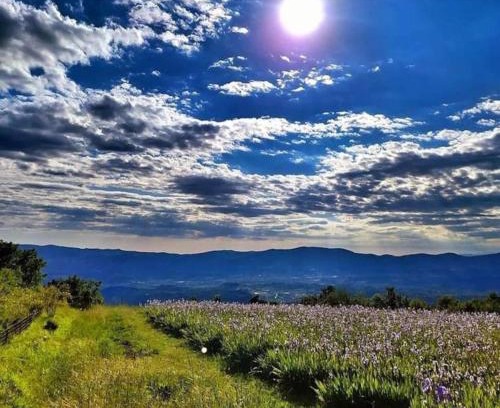 Mercatale Val di Pesa Appartement | Casa Chianti