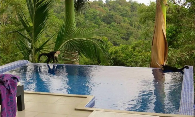 Manuel Antonio Maison | Casa con espectacular vista al mar