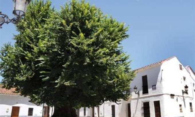 Cortelazor Maison | Casa coro