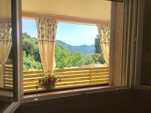 Sainte-Lucie-de-Tallano Appartement | CASA CRISTINA Charmant Appartement CALME ENTRE MER ET MONTAGNE