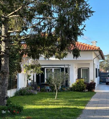 Aveiro Maison | Casa das Camélias