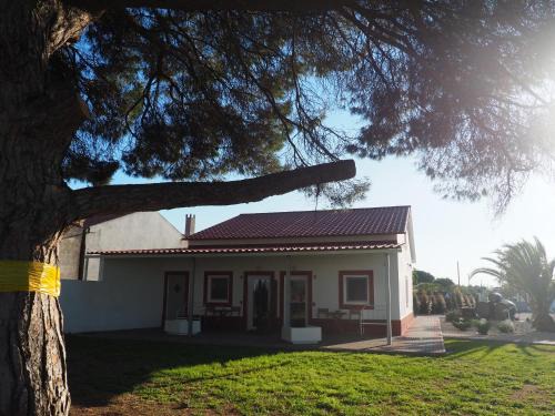 Palhais Cabine | Casa das Pipas Palmela #6