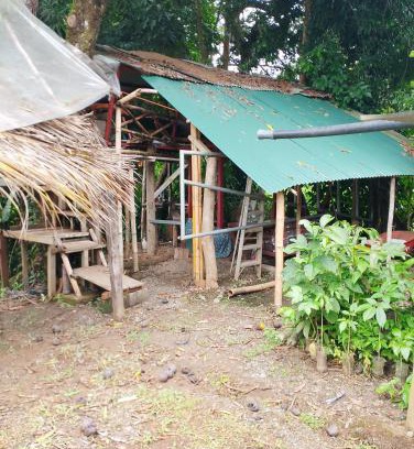 Pacuare Reserve Autre | Casa de árbol familiosa
