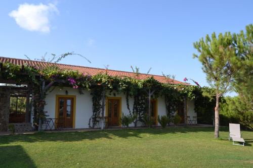 Pedra Arrancada Maison | Casa de Campo Vale do Asno
