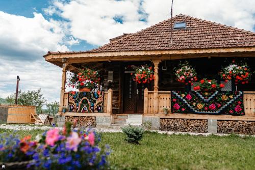 Viseu de Mijloc Maison | Casa de la Pârâu